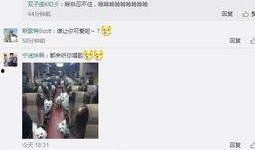 廖玮琪最新爆料微博视频,最新爆料内容大起底！”