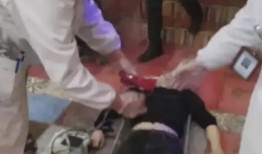 网友爆料被蛇咬伤视频,紧急救援现场直击