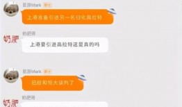 上港记者爆料新闻,揭秘球队最新动态与幕后故事