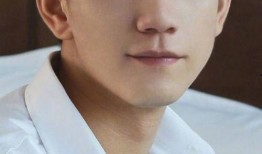 王子奇最新爆料,揭秘娱乐圈不为人知的秘密